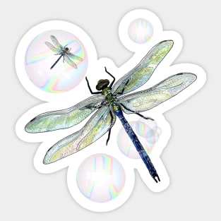 dragonfly Sticker